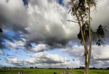 虎扑-关于广厦男篮训练开放日，今晚豪取连胜引欢呼，国王杯在即，医务组通报恢复的信息