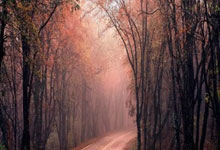 HUPU-TheShy赛事官方发布出色防守新规，DWG争议不断！的简单介绍