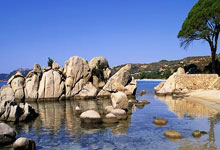 HUPU-TheShy赛事官方发布出色防守新规，DWG争议不断！的简单介绍